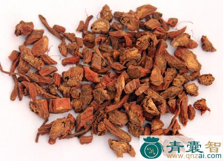中药材劲枝丹参图片