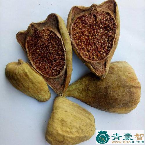 中药材勒荔图片