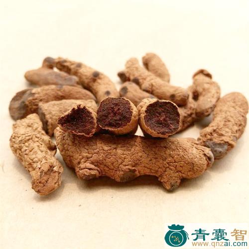 中药材化血七图片