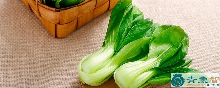 中药材匙头菜图片