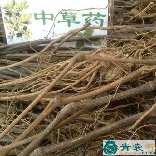中药材十八症图片