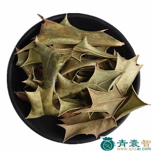 中药材十大功劳叶图片