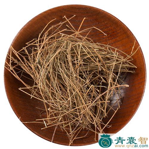 中药材十字草图片