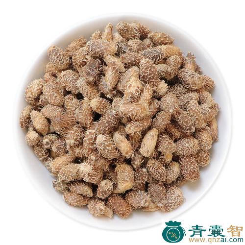 中药材千人耳子图片