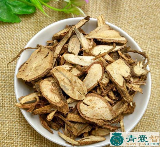 中药材千尾荡图片