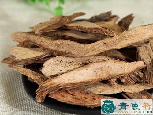 中药材千年松图片