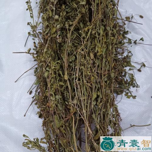 中药材千锤散图片