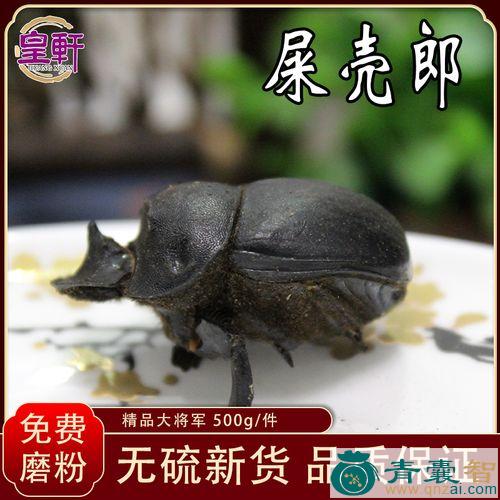 中药材升推图片