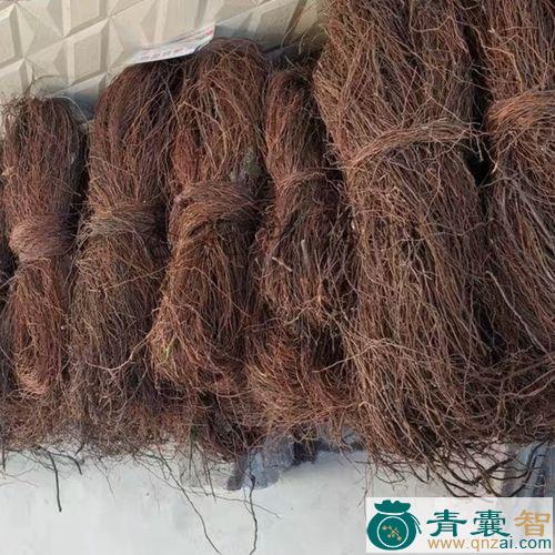 半天吊的性状性味归经以及功效用法-青囊智