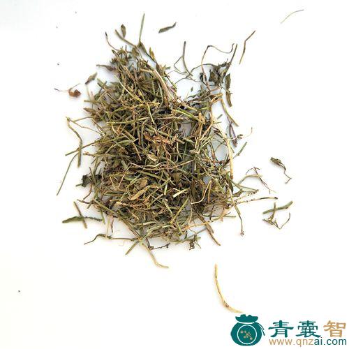 中药材半边山图片