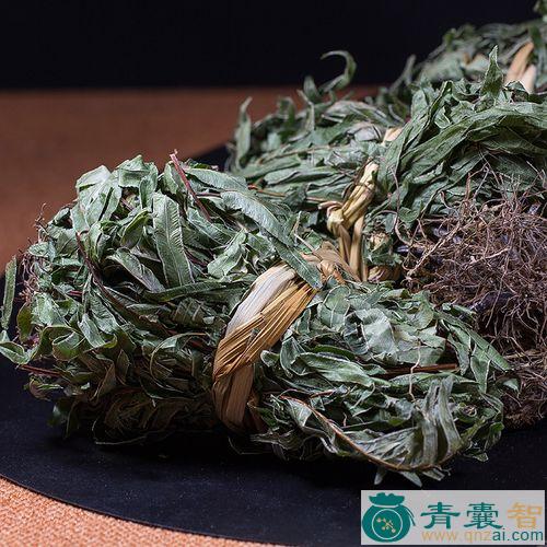 中药材半边梳图片
