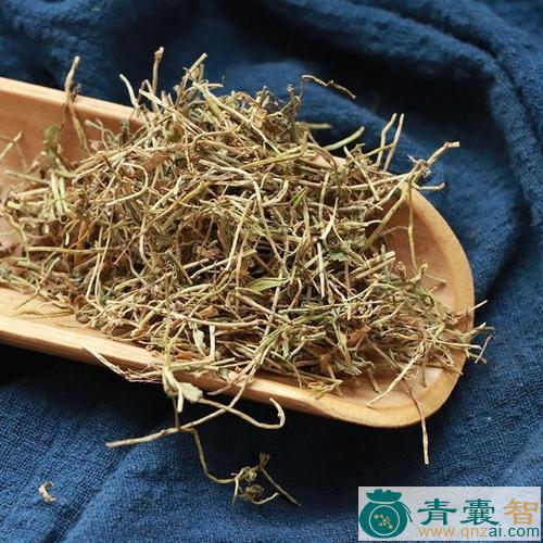 中药材半边草图片