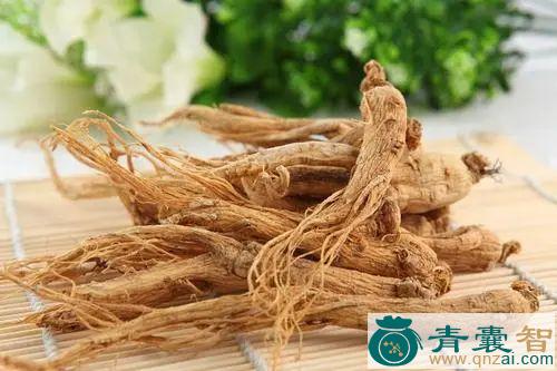 中药材华刺参图片