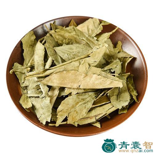 中药材华桔竹叶图片