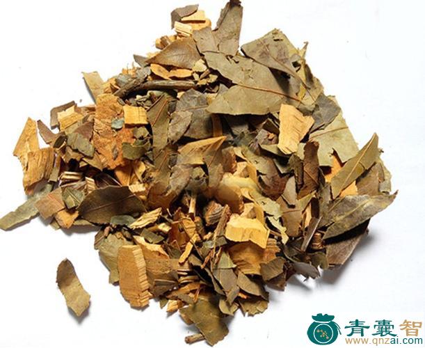 中药材卑共图片