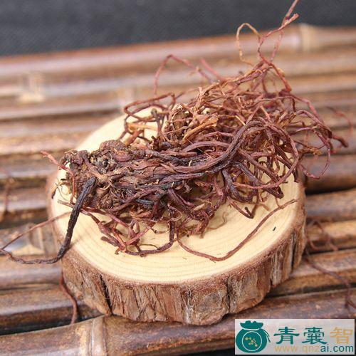 中药材单头紫菀根图片