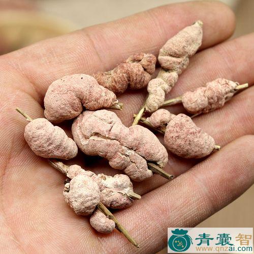 中药材单花山竹子图片