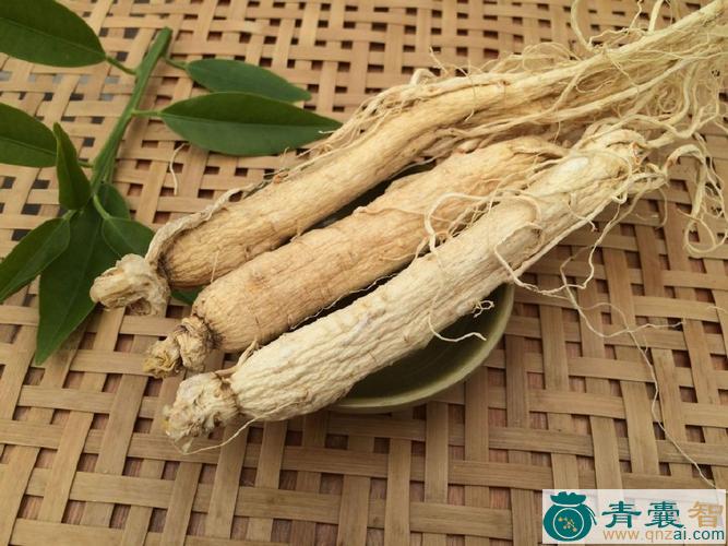 中药材南仲根图片