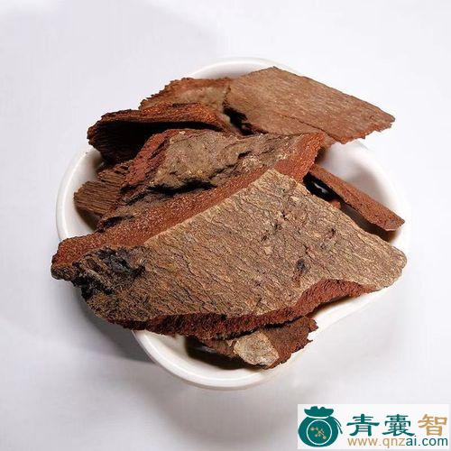 中药材南宁地枫皮图片