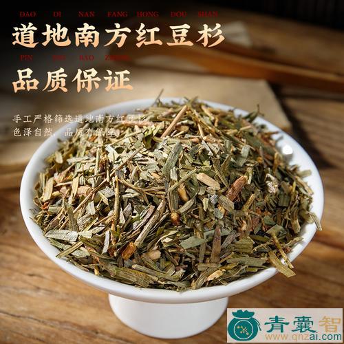 中药材南方红豆杉图片