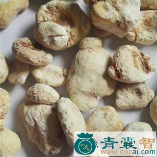 中药材南星头图片