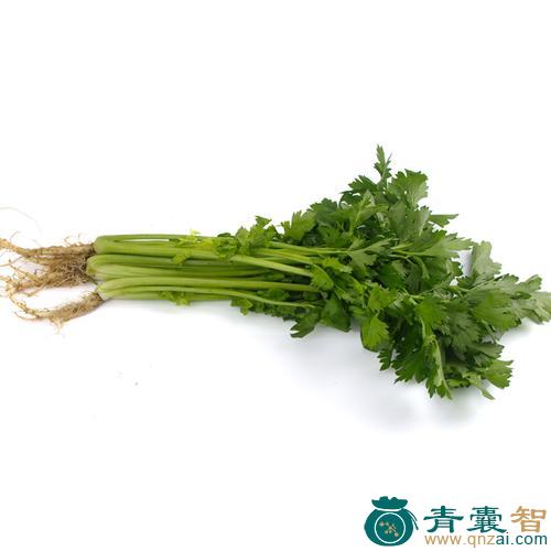 南芹菜的性味归经以及功效用法和注意事项-青囊智