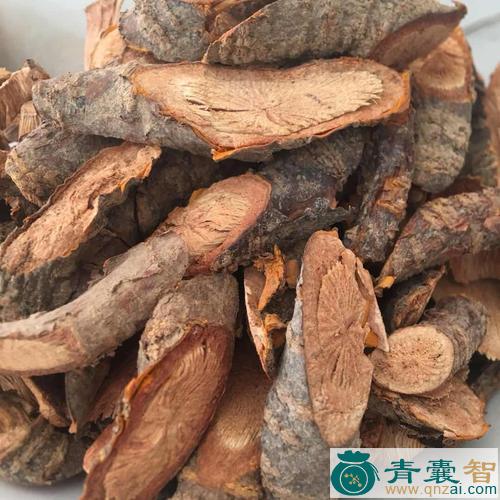 中药材南蛇风图片