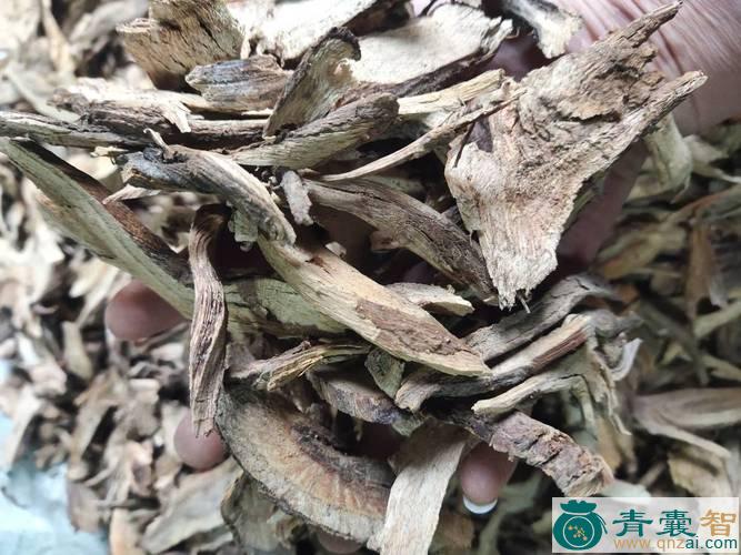 中药材博根藤图片