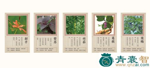 中药材卡肖图片