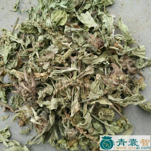 中药材卫生草图片