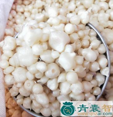 卵蒜的性味归经以及功效用法和注意事项-青囊智