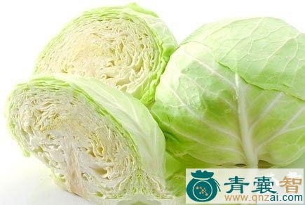 中药材卷心菜图片