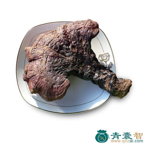 中药材厚环粘盖牛肝图片