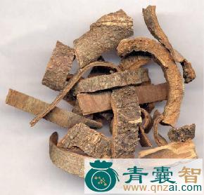 中药材厚皮藤图片