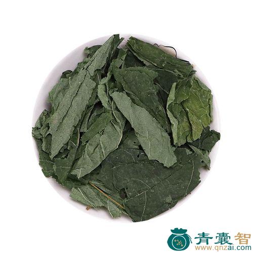 中药材参叶图片