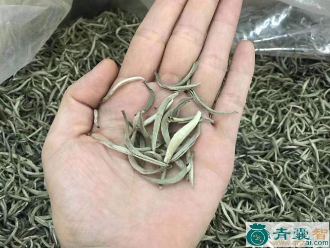 中药材又月白图片