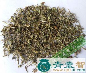 中药材双判草图片