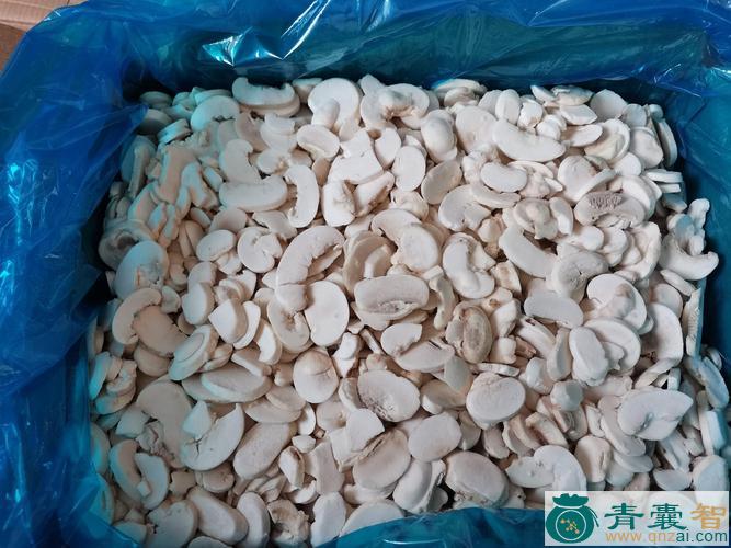中药材双孢蘑菇图片