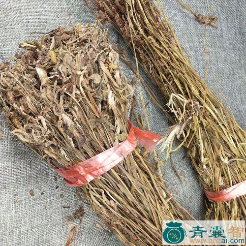 双瑚草的性状性味归经以及功效用法和注意事项-青囊智
