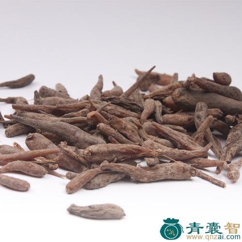 中药材双肾参图片