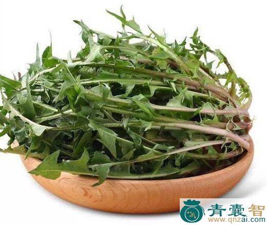 中药材双英卜地图片