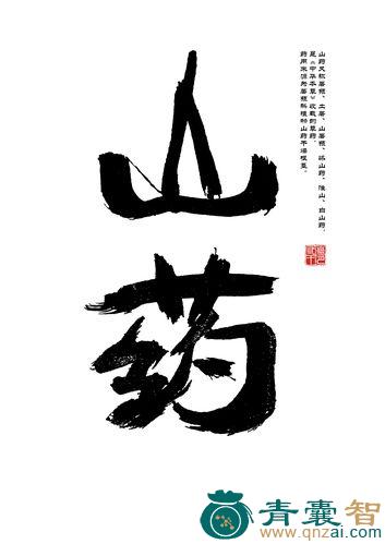 中药材古风子图片