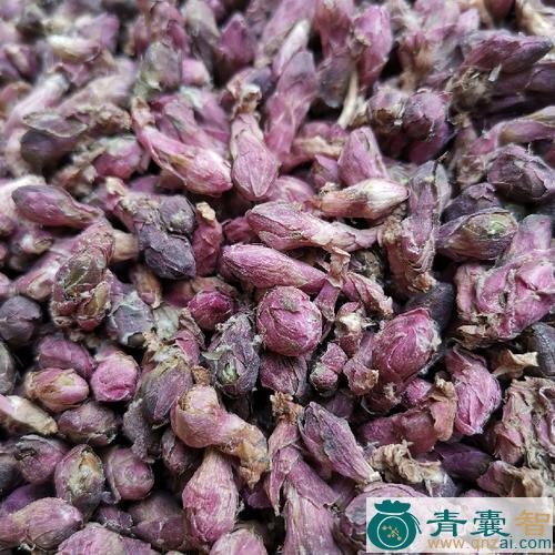叩皮花的性状性味归经以及功效用法和注意事项-青囊智
