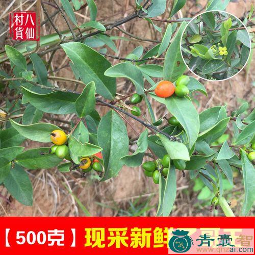 叫哥哥的性味归经以及功效用法-青囊智