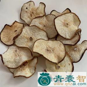 中药材叫梨子图片