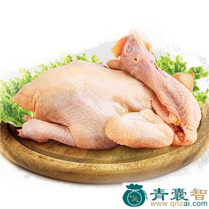中药材叫鸡图片