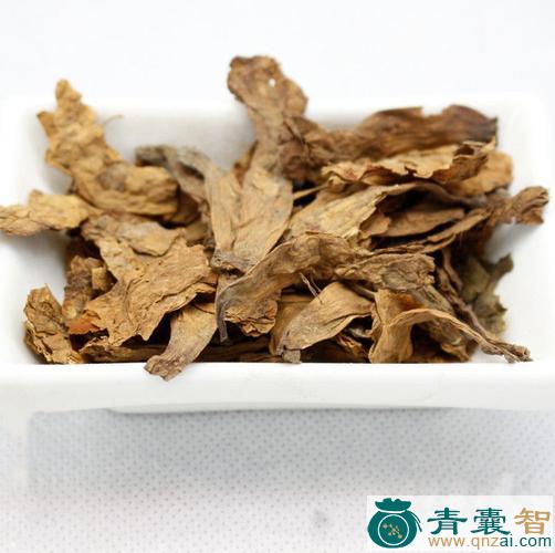 台湾泡桐的性味归经以及功效用法-青囊智