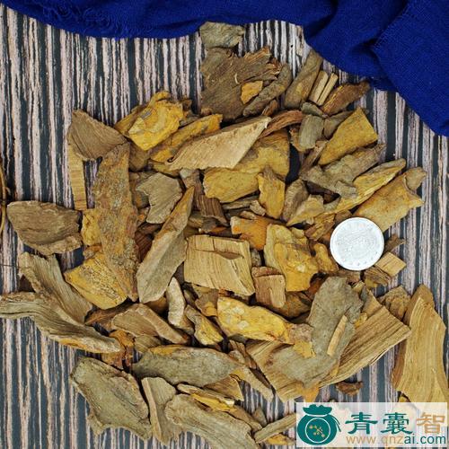 中药材台湾海棠图片
