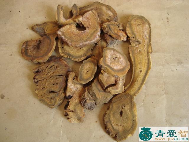 台黄的性状性味归经以及功效用法和注意事项-青囊智