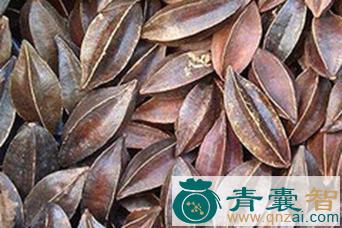 中药材史君根图片